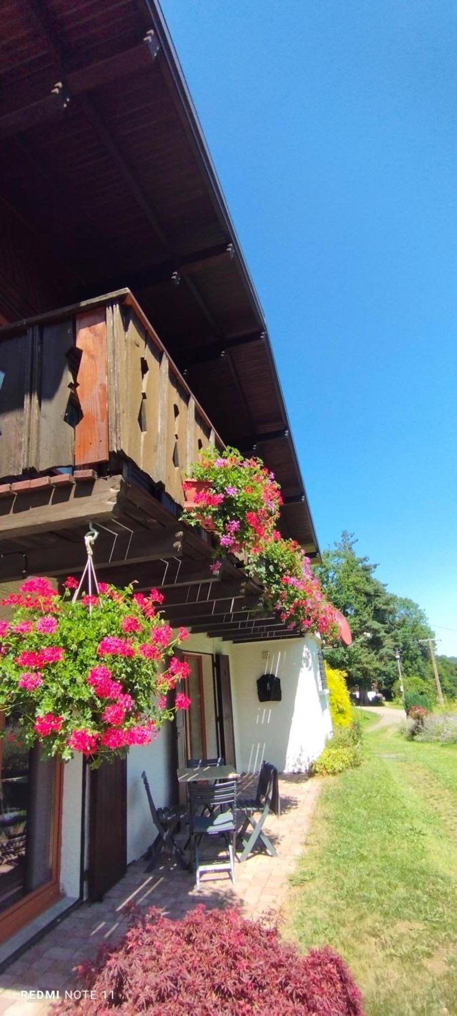 Chalet Au Bois Des Ecureuils Classe Trois Etoiles. Muhlbach-sur-Munster 외부 사진