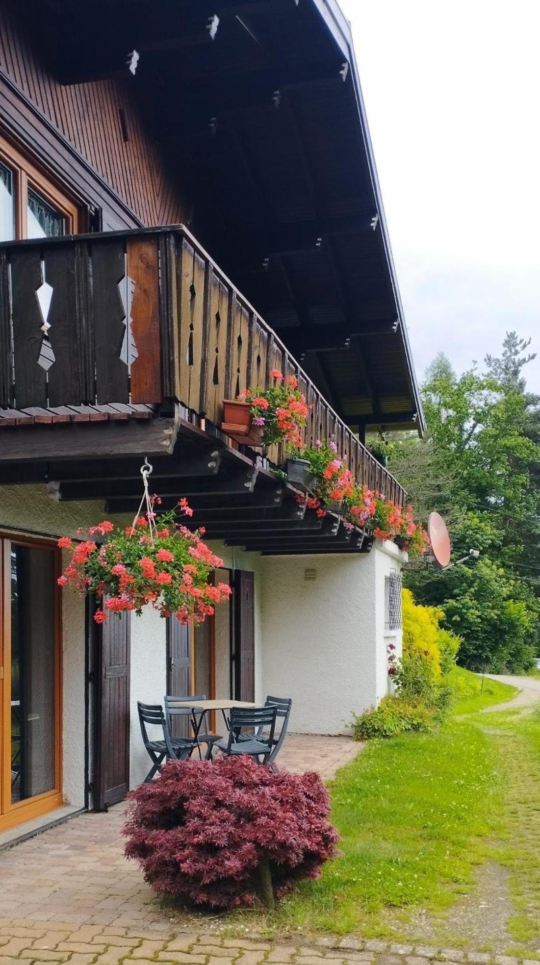 Chalet Au Bois Des Ecureuils Classe Trois Etoiles. Muhlbach-sur-Munster 외부 사진