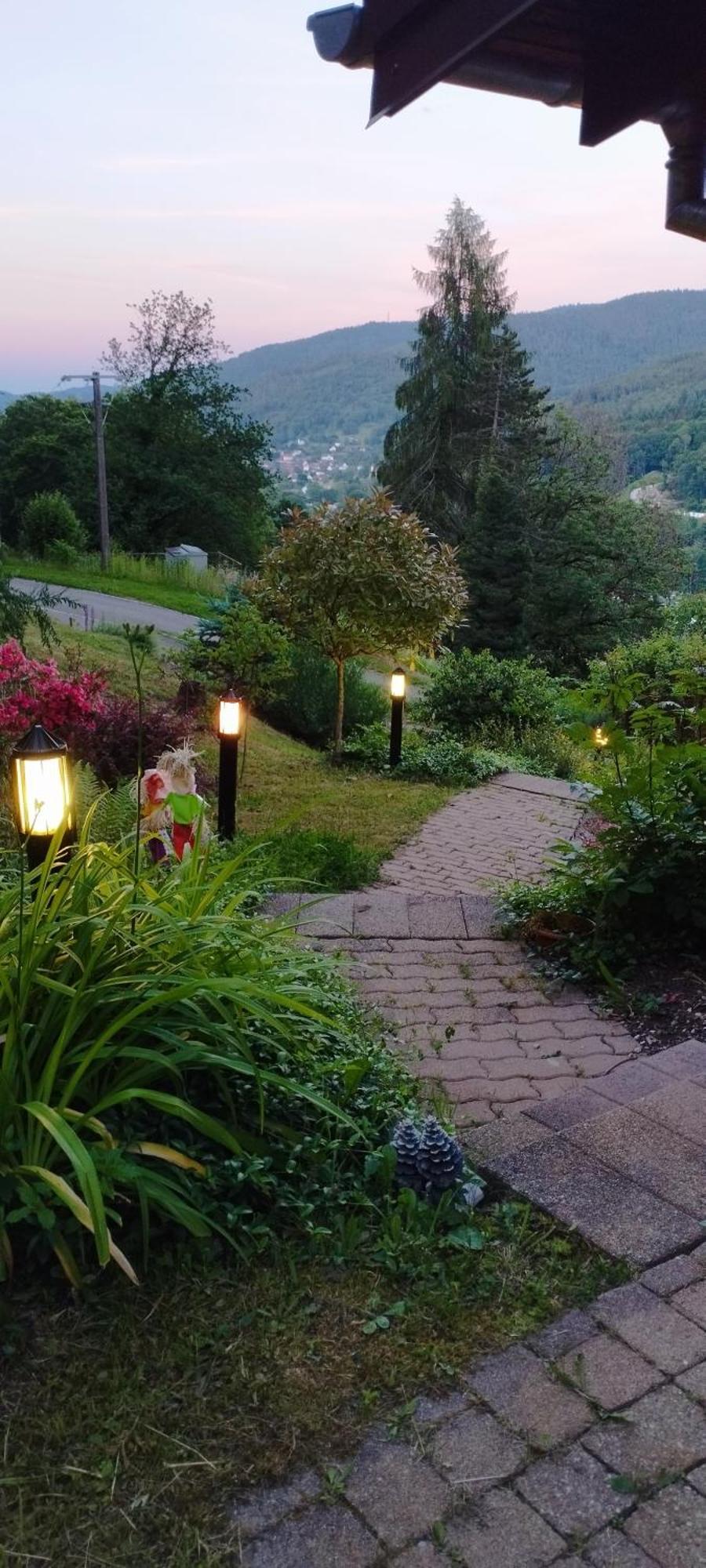 Chalet Au Bois Des Ecureuils Classe Trois Etoiles. Muhlbach-sur-Munster 외부 사진
