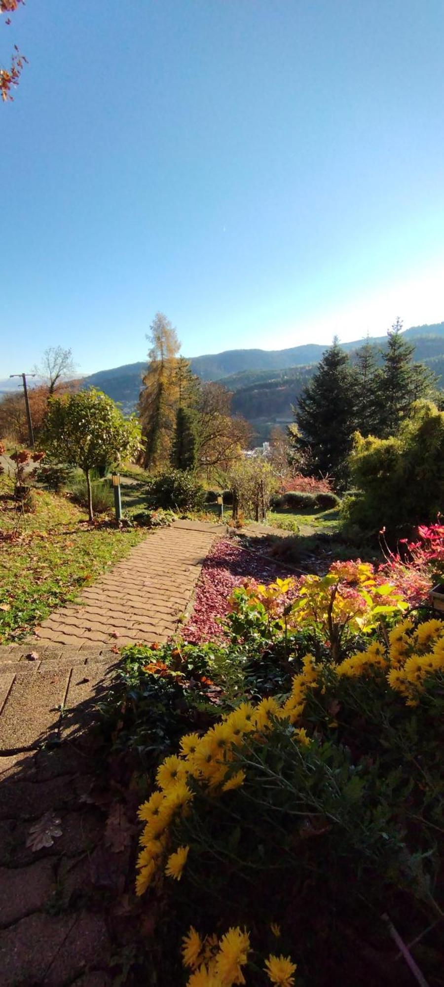 Chalet Au Bois Des Ecureuils Classe Trois Etoiles. Muhlbach-sur-Munster 외부 사진